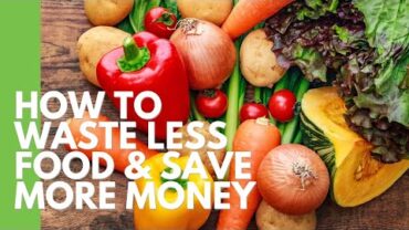 VIDEO: How to Waste Less Food and Save More Money