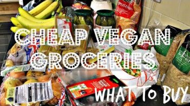 VIDEO: AFFORDABLE VEGAN GROCERIES – WHAT TO BUY + PRICES ♥ Cheap Lazy Vegan