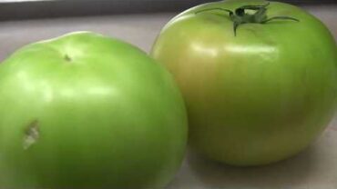 VIDEO: Easy Fried Green Tomatoes
