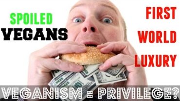 VIDEO: VEGANISM IS A FIRST WORLD PRIVILEGE!? ♥ Cheap Lazy Vegan