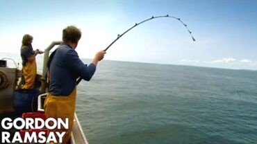 VIDEO: Gordon Ramsay Fishes & Cooks Conger Eel | Gordon Ramsay