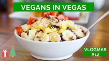VIDEO: Vegans In Vegas | VLOGMAS Day 12