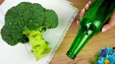 VIDEO: Nimm Brokkoli und eine leere Flasche! Ich habe noch nie so leckeren Brokkoli gegessen! 2 Rezepte