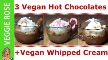VIDEO: 3 Vegan Hot Chocolates + Vegan Whip Cream