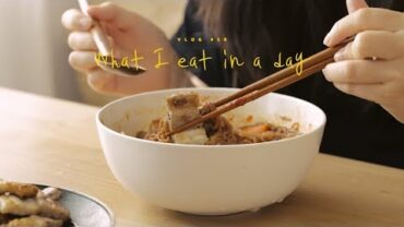 VIDEO: [SUB] VLOG #19 하루세끼, 송주불냉면과 삼겹살 : What I eat in a day | Honeykki 꿀키