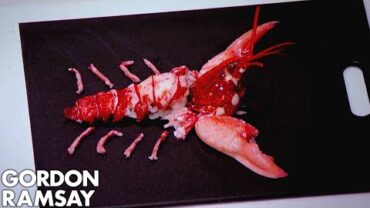 VIDEO: Gordon Ramsay | How to Extract ALL the Meat from a Lobster