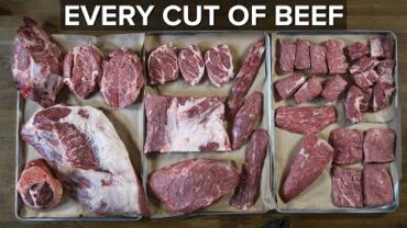VIDEO: Beef 101: Every Cut of Meat, Explained.