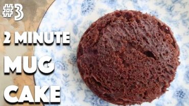 VIDEO: CHOCOLATE MUG CAKE (Vegan, Quick, Easy) | #3 (30 Videos in 30 Days) ♥ Cheap Lazy Vegan