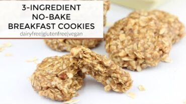 VIDEO: 3-Ingredient No-Bake Almond Butter Breakfast Cookies | A Vegan, Dairy Free, + Gluten Free Recipe