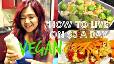 VIDEO: How To Live On $3 a Day – VEGAN EDITION (part 1) | Cheap Lazy Vegan