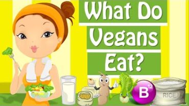 VIDEO: What Is Vegan? What Do Vegans Eat? – The Vegan Diet