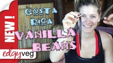 VIDEO: How to Make Vanilla Extract in Costa Rica! | Edgy Veg