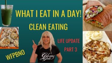 VIDEO: Clean Eating: My WFPBNO Day & Update Part 3
