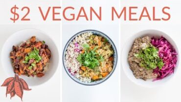 VIDEO: $2 Vegan Meals | 3 Freakin’ Delicious Cheap Vegan Entrees