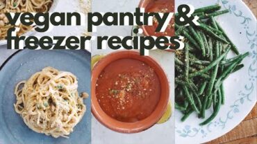 VIDEO: LAZY VEGAN RECIPES… DON’T GO OUTSIDE LOL (Easy Vegan Pantry & Freezer Recipes)
