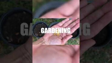 VIDEO: Spring garden cleaning