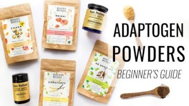 VIDEO: BEGINNER’S GUIDE TO ADAPTOGENS | reduce stress, boost immunity & more