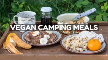 VIDEO: Vegan Camping Recipes ⛺️(Full Day of Eating)
