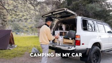 VIDEO: Camping, Cooking, and Fishing with Navi