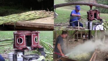 VIDEO: How-To Make Sorghum the Old Fashioned Way
