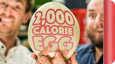 VIDEO: We Eat The 2000 Calorie Egg! | Sorted Food
