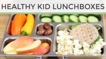 VIDEO: 3 Easy Heathy Kid Lunch Ideas | Bento Box Style