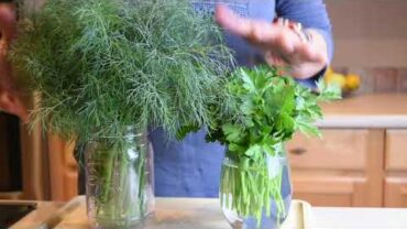 VIDEO: HOW TO STORE FRESH HERBS FOR LATER USE – PARSLEY & DILL