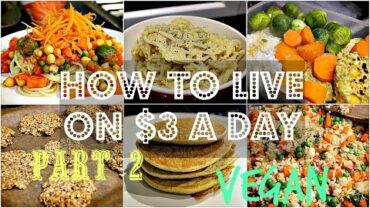VIDEO: How To Live On $3 a Day – VEGAN EDITION #2 (Days 2+3) ♥ Cheap Lazy Vegan