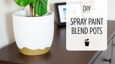 VIDEO: DIY Spray Paint Plant Pot – Save $$ with easy Decorating Ideas for your Home