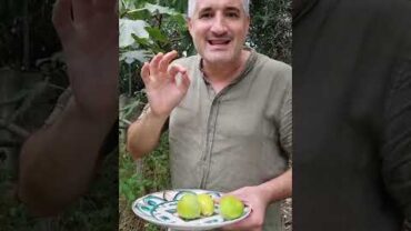 VIDEO: How to Pick Fresh Figs