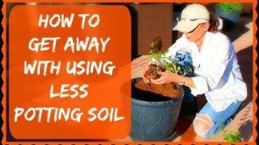 VIDEO: Container Planting Trick For Saving Money On Potting Soil