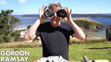 VIDEO: Gordon Ramsay Makes Abalone Scrambled Eggs In New Zealand | Scrambled