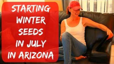 VIDEO: How To Plant Tomato & Pepper Seeds Indoors – Arizona Desert Organic Vegetable Garden