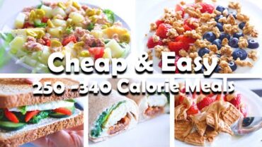 VIDEO: 10 High Protein Low Calorie Meals – YOU NEED TO TRY!!