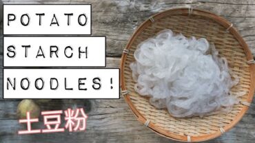 VIDEO: HOW TO MAKE POTATO STARCH NOODLES  | NOODLE WEEK! 土豆粉