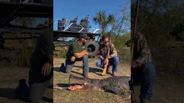 VIDEO: Gator Hunt with Central Florida Trophy Hunts