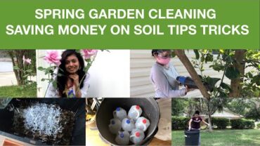VIDEO: Spring Garden Cleaning + Save Money on Soil Tips Tricks Video Episode | Bhavna’s Kitchen