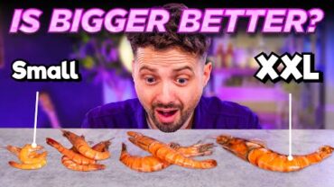 VIDEO: Does Bigger Taste Better?! | Prawns (TASTE TEST)