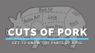 VIDEO: Cuts of Pork (Get to Know the Parts of a Pig)