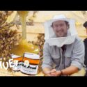 VIDEO: Brad Makes Honey | It’s Alive | Bon Appétit