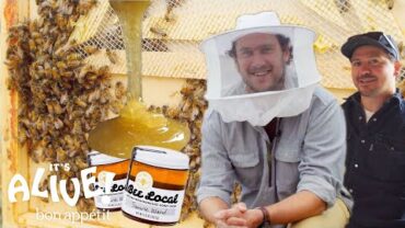 VIDEO: Brad Makes Honey | It’s Alive | Bon Appétit