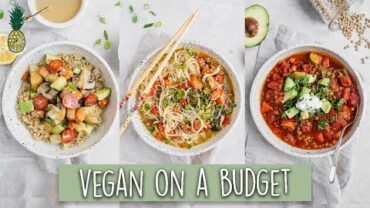 VIDEO: What We Ate Vegan on A Budget + Mini Grocery Haul