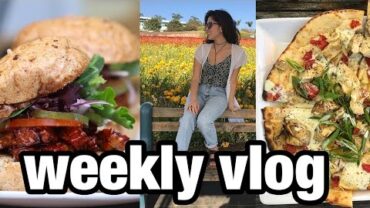 VIDEO: Weekend in Flower Fields +  Doctor Visit | Weekly Vlog