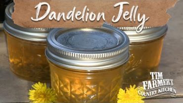 VIDEO: DANDELION JELLY | How-To Make Jelly w/ Dandelions