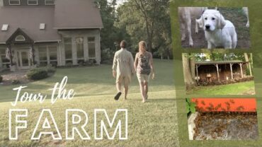 VIDEO: Tour the Farmer Farm