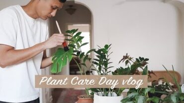 VIDEO: Cooking and Plant Care Day | wah