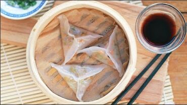 VIDEO: VEGAN DIM SUM (2.0) – TRIANGLE DUMPLINGS!!