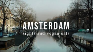 VIDEO: OUR TRIP TO AMSTERDAM: SIGHTS + VEGAN EATS | Good Eatings