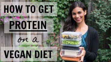 VIDEO: HOW DO VEGANS GET PROTEIN? | top vegan protein sources | part 1