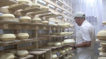 VIDEO: Making Sheep Cheese the Old Fashioned Way